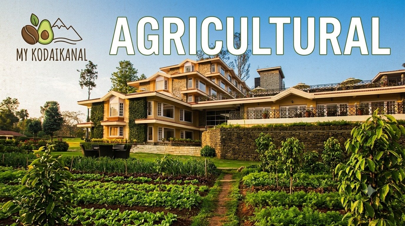 Agricultural land for sale in Kodaikanal - Agricultural Land for Sale in Kodaikanal: Locations & Legal Tips