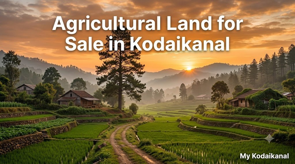 Agricultural Land for Sale in Kodaikanal